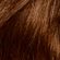832790---Kit-Wella-Koleston-Coloracao-Permanente-Creme-60-Louro-Escuro-Tratamento-Gloss-Intenso-40ml-4