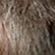 754676---Tonalizante-Capilar-Beauty-Color-Men-Sem-Amonia-Cinza-Natural-5