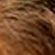 754684---Tonalizante-Capilar-Beauty-Color-Men-Sem-Amonia-Louro-Escuro-5
