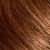 713511---tintura-permanente-loreal-paris-imedia-excellence-5-0-castanho-claro-5