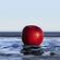image-d0a9ef40f8d24f48b83bf171e692630e