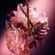 image-6acc81426072449d9aed11e81e2b5422