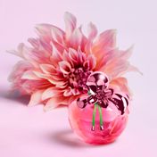 image-62f92ecd59ec4c8e83726cb4fb551f8b