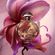 image-11e680db18a244ce87ae4a300cd44a1b