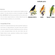image-a85dc558ec11420baff6dc32061e4a79