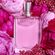 image-94bd2aec87ce429894fd900206448a76