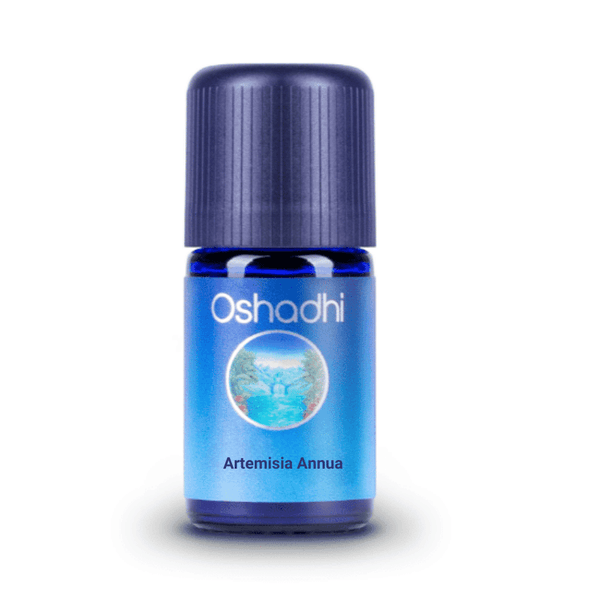 Óleo Essencial de Artemísia Annua 5ml 5ml