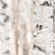 image-1b966e53f2d84cdd9850c8455f64640d