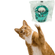 image-2934fcdbbb5c496aaad9334ad8a1776b