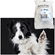 image-300ddb6afd2647daac278541641b53ac