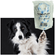 image-40d9a188e9da4ff5bd1b068fa7cb5ca8