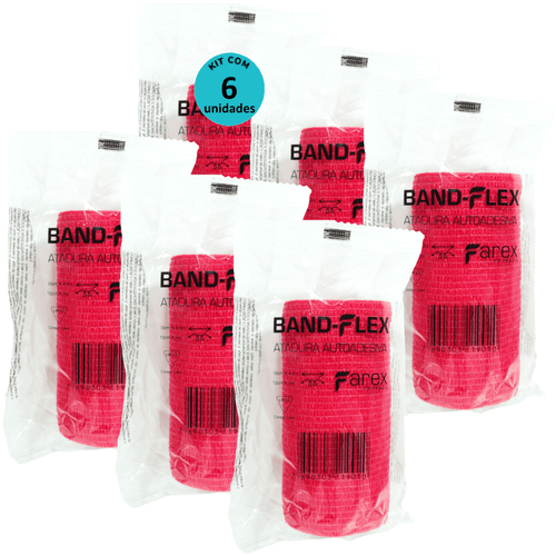 image-31373d366f2548caa5593102be8e3259 image-31373d366f2548caa5593102be8e3259