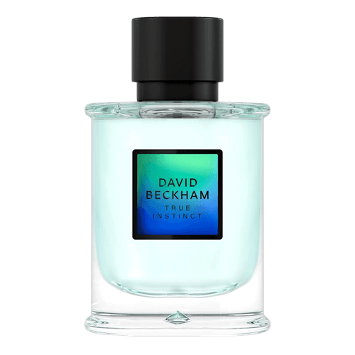 image-11705d43b19b4ba883ba16bbd6012ca1 image-11705d43b19b4ba883ba16bbd6012ca1