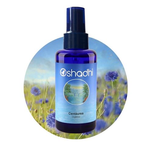 image-a01ce7fd920e4517b8c316797b8a682e image-a01ce7fd920e4517b8c316797b8a682e