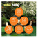 _0001_173550---repelente-off-family-aerosol-165ml--7-