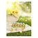 772747---Chocolate-Lindt-Mini-Gold-Bunny-Ao-Leite-5-Unidades-com-10g-cada_0002_65e8bbb8d27fcb488432be5f_4