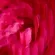image-323e034e1b5d4d70a0f8708efad6e356