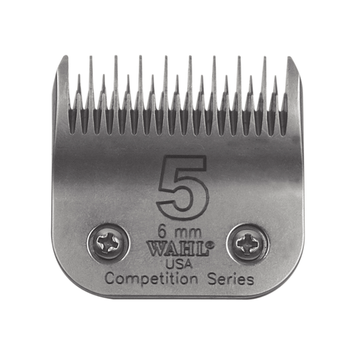 image-d098bd402f8f43f8853fbb93b2cf275a image-d098bd402f8f43f8853fbb93b2cf275a