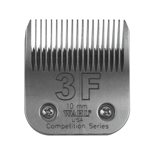 image-2d934947c2074c2eaa4fee167e5c29bf image-2d934947c2074c2eaa4fee167e5c29bf