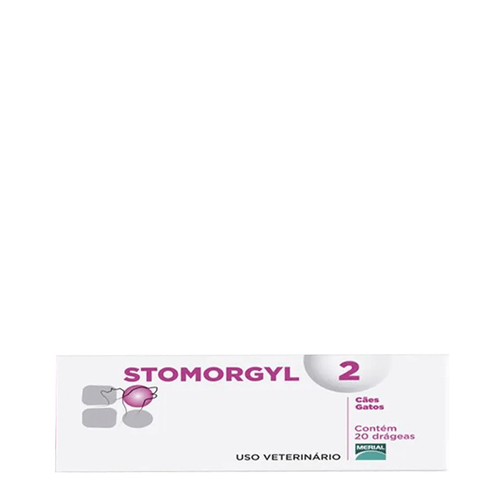 935296822_0000_Layer-2 935296822_0000_Layer-2