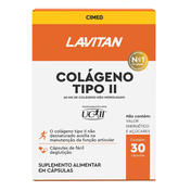 Colageno-Tipo-Il-Lavitan-Com-30-Capsulas---694193_0001_64871d41c117c40bfce5dfe0_1