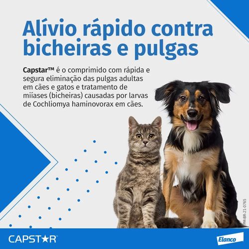 image-052c98cd0bf748b4865537f17ce00e6a