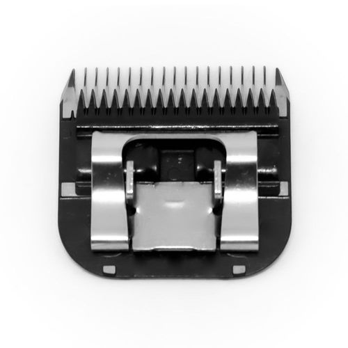 image-8f3abbd211f149d38469be32a15a81f2 image-8f3abbd211f149d38469be32a15a81f2