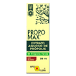 47333---propomax-apis-flora-extrato-de-propolis-gotas-30ml_0006_Layer-1.png