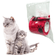 image-240caea2cbae40baaf3ac2869ab4a016