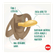 935258079---Kit-2-Chupetas-For-Nature-Latex-0-6-Meses-Marrom---NUK_0000_Layer-6