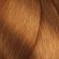 image-93ee2e4bfeb24635a76a4854bb981c8d