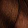 image-95e1c3c2cd3445379160692243c010a8
