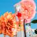image-583ce6f0cbf8433eadacd0921f69d479