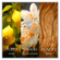 877786---Perfume-Eau-De-Toilette-Chanson-Deau-Lemon-100ml_0001_3616305629418_99_4_1200_72_RGB.png