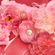 image-ba3bc66b03b94965a5a9eb8a61db82dc