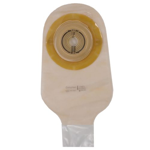 image-13b335bab3874c77ade1c84d85b16333 image-13b335bab3874c77ade1c84d85b16333