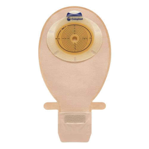 image-7a778f456f3b4786bb0e9e06fb6492a5