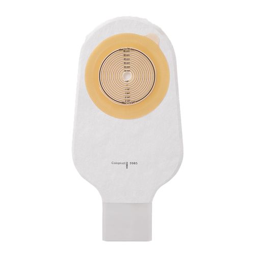 image-ecd2d2f9a8944f7a964dff526c8a54c2 image-ecd2d2f9a8944f7a964dff526c8a54c2