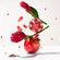 image-8dfd741bdd13461ca7b6f21a0cf4c327