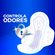 773417---Absorvente-Always-Noites-Tranquilas-Seca-com-Abas-48-Unidades-3.jpg