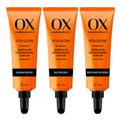 884685---Kit-OX-Cosmeticos-Vita-Glow-Mari-Cronograma-Capilar-Hidratacao-Nutricao-Reconstrucao-15ml-Cada-Ampola-1.jpg