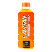 884880---Isotonico-Lavitan-Hidro-Sabor-Tangerina-500ml-1.jpg