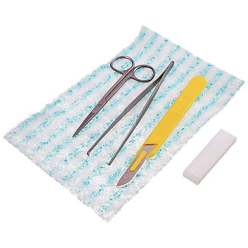 image-4b3e76433e56440389cd5c98a3e1b426 image-4b3e76433e56440389cd5c98a3e1b426