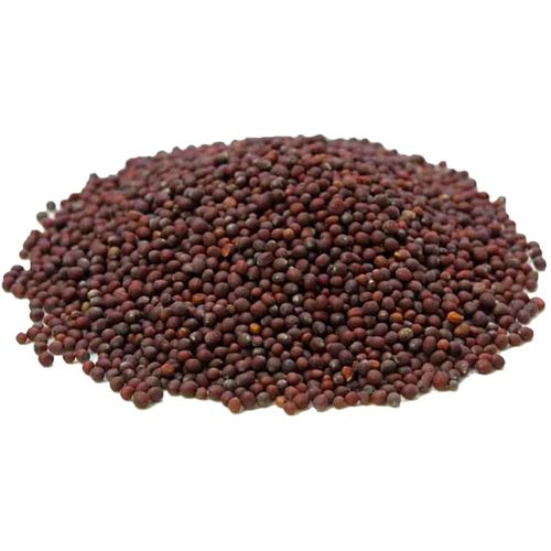 image-3aa5c7439c534be1a21a6959191ae2e1 image-3aa5c7439c534be1a21a6959191ae2e1