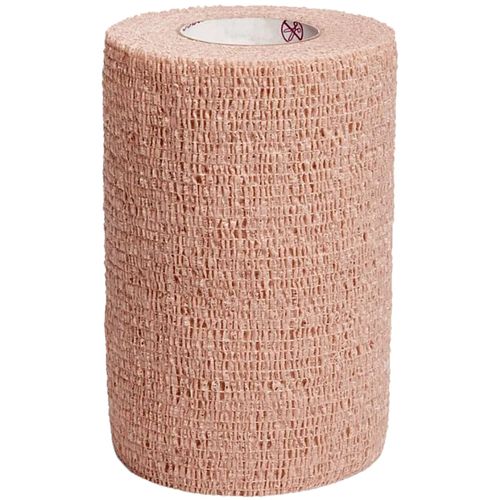 image-0a855cbea680478797a9b26b7d8267ef image-0a855cbea680478797a9b26b7d8267ef