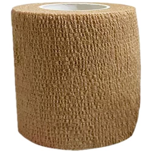 image-a35c99fda53340fca881ccbf50afc01e image-a35c99fda53340fca881ccbf50afc01e