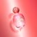 image-eedb2cd7aeab40adaa33875c0cbeec47