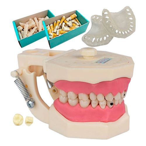 Kit Manequim Multidisciplinar Materiais Dentários Orais