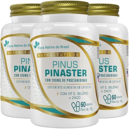 KIT 03 PINUS PINASTER 60CPS FLORA NATIVA