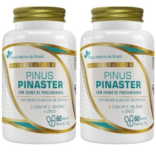 KIT 02 PINUS PINASTER 60CPS FLORA NATIVA
